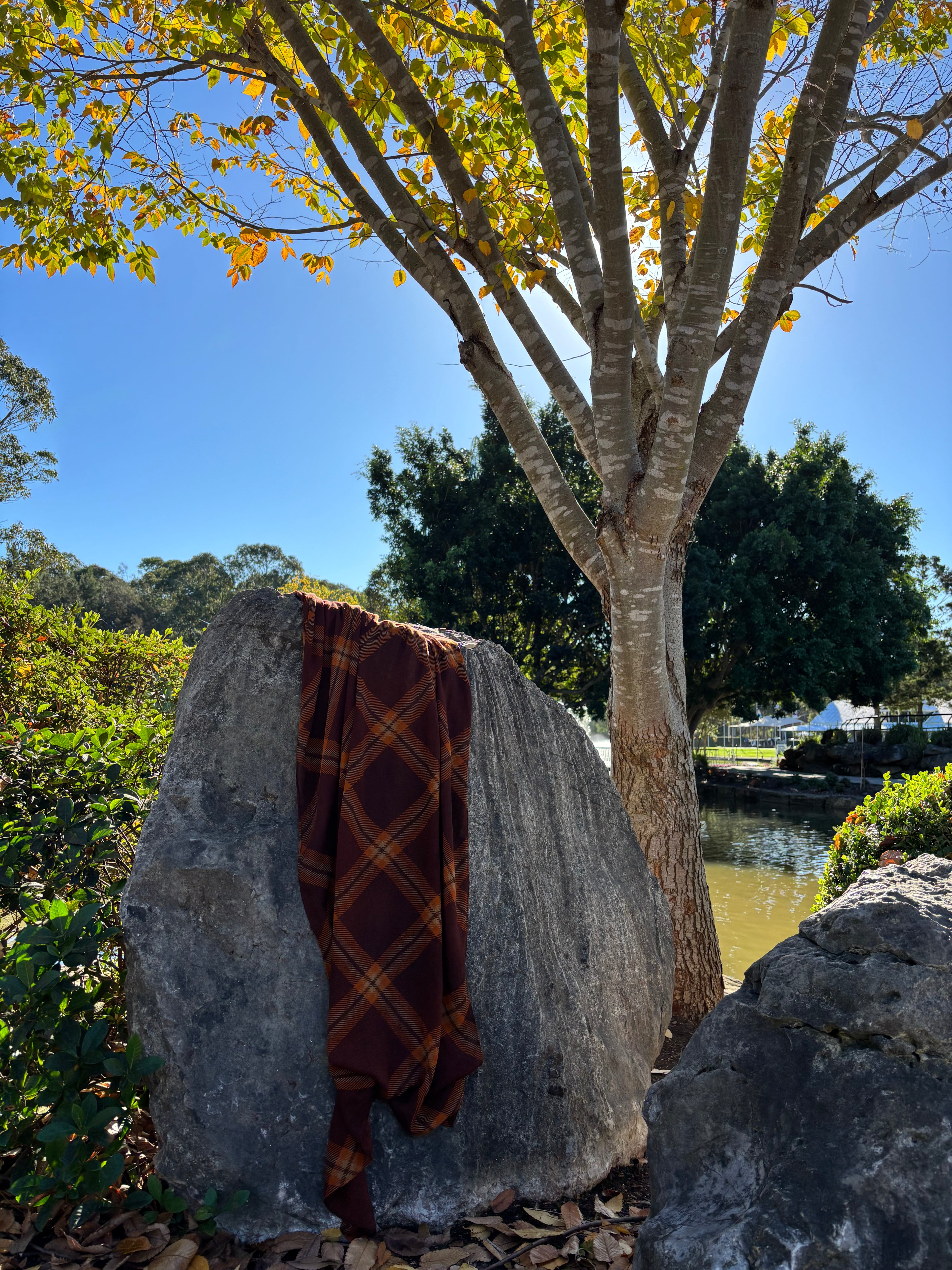 Pumpkin Plaid