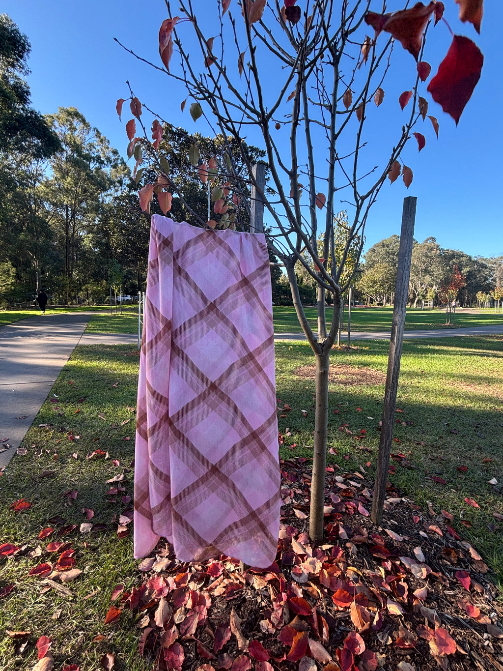 Pink Plaid